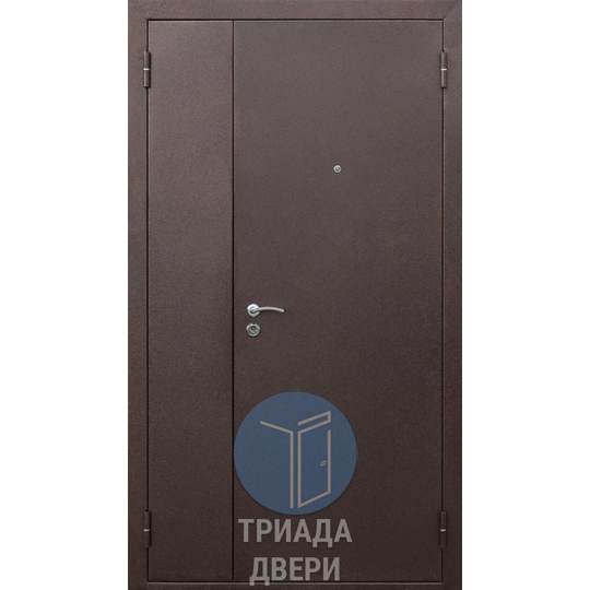 дверь двустворчатая с порошковым напылением из стали