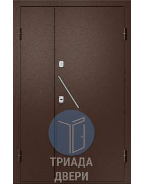 недорогая тамбурная дверь с порошковым напылением