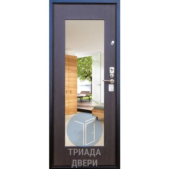 входная одностворчатая дверь с зеркалом внутри