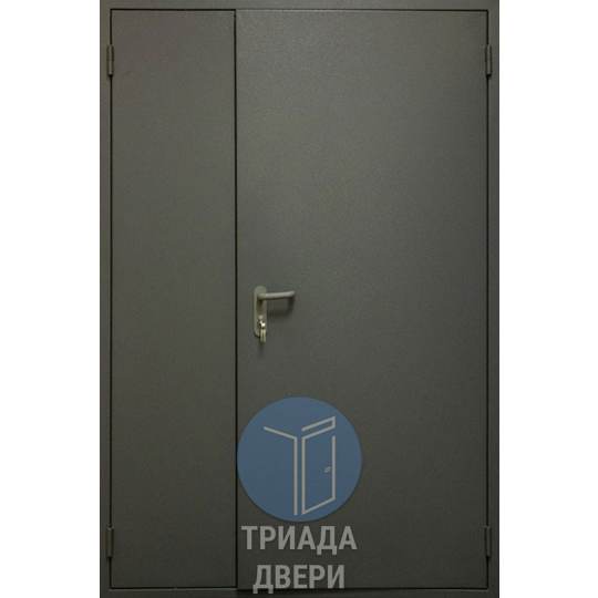 дверь с боковой вставкой и внешним порошковым напылением