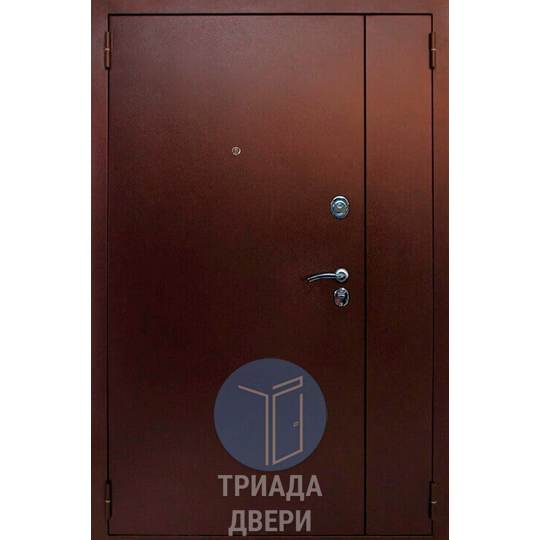 дверь с внешним порошковым напылением и боковой вставкой