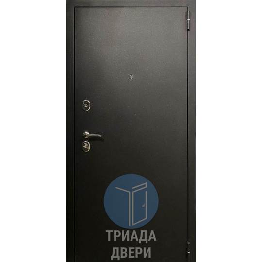 дверь с порошковым напылением и зеркалом